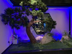 -绿茶餐厅(成都大悦城店)