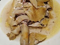 五指毛桃蒸麻鸡-蚝歌(中山七路店)