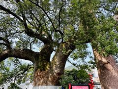 -新安江山水画廊风景区