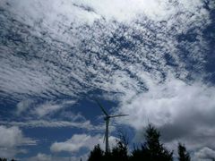 -北京东方普罗旺斯薰衣草庄园