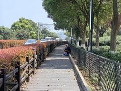 -树山生态村