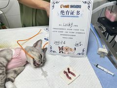 -达爱动物医院·犬猫分区·CT·复杂眼科(远洋山水分院)