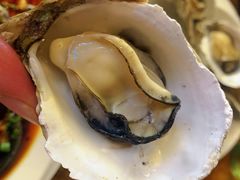 -冯姐生蚝(迎宾广场店)