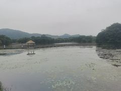 -西昌邛海湿地