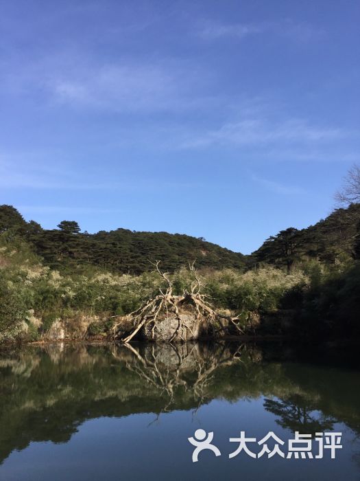 涵星池图片 - 第6张