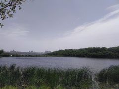 -盘龙城国家考古遗址公园