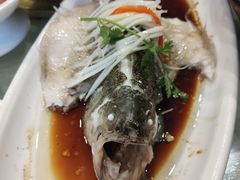 -鑫皇朝酒店(建设一路店)