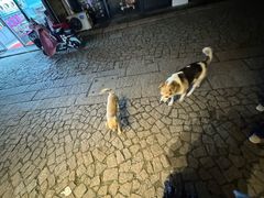 -长兴菜馆(高桥店)