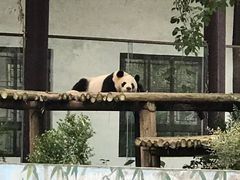 -仙芝竹尖生态园旅游景区