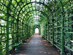 -夏园