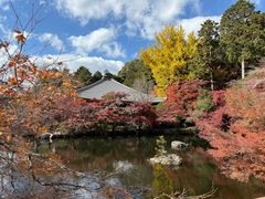 -醍醐寺
