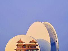 -野狸岛