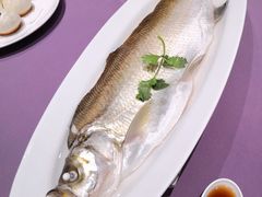清蒸白水鱼-张福记(五一公园店)