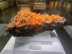 -湖南省地质博物馆