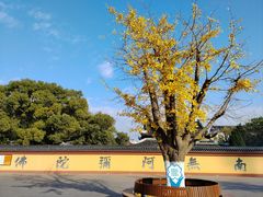 -上海东林寺(金山区)