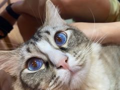 -白兔子密室(长寿路店)