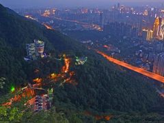 -南山植物园