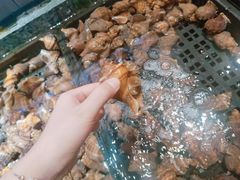 -海鲜e族(马王堆店)