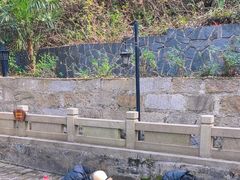 -白沙古井
