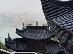 -龙泉洞(沙坪坝区)