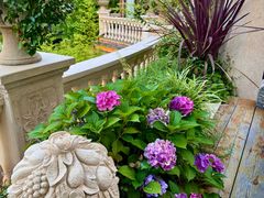 -叶叶菩提(太原别墅店)