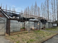 -前小桔亲子创意农场·草莓采摘·露营烧烤