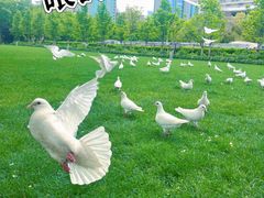 -人民广场