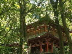 -句容茅山景区