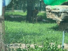 -秦皇岛野生动物园