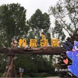 小萌娃和小萌宠的爱心集合