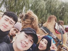 -黄沙古渡原生态旅游区