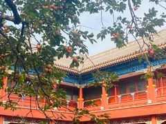 -北京石刻艺术博物馆(五塔寺)