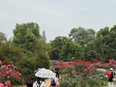 -东湖落雁景区