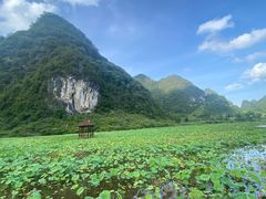 -靖西鹅泉风景区