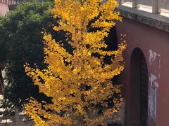 -开福禅寺