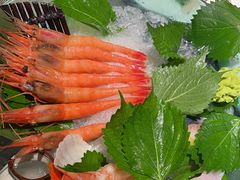 -極上萬膳·日料放题(海岸城店)