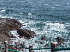 -广东惠东海龟国家级自然保护区