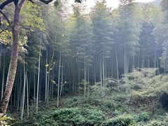 -黄公望隐居地