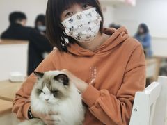 -李小姐の猫咖啡馆(五角场店)