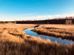 -塞罕坝国家级自然保护区