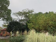 -东湖落雁景区