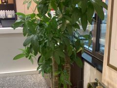 -清雅臻品·竹林院落·新派青岛菜(崂山店)