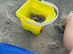 -红树林天天赶海