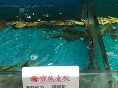 -宝燕壹号(徐汇店)