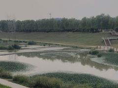 -洨河生态公园