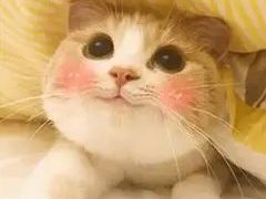 -海底捞火锅(老城根店)