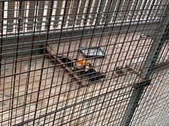 -泉州海丝野生动物世界