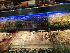 -苏格里岛自助烤肉海鲜火锅(成都金牛万达店)