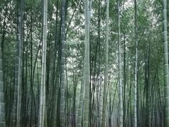 -陶祖圣境风景区