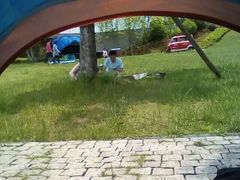 -铁山坪森林公园